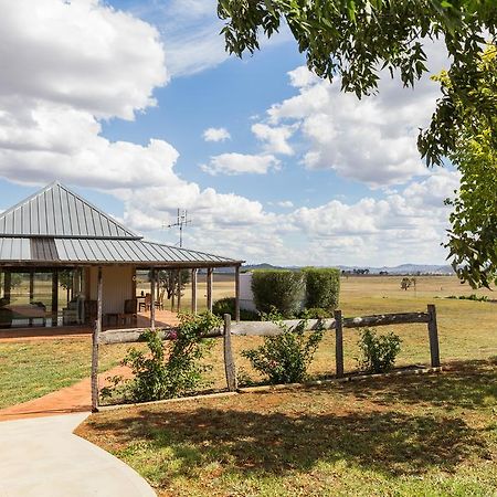 Owl Head Lodge Gulgong Zewnętrze zdjęcie