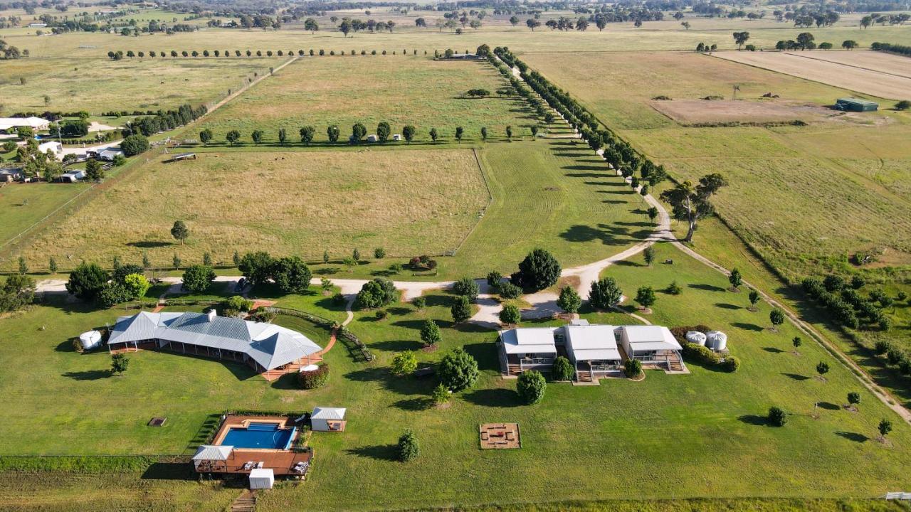 Owl Head Lodge Gulgong Zewnętrze zdjęcie