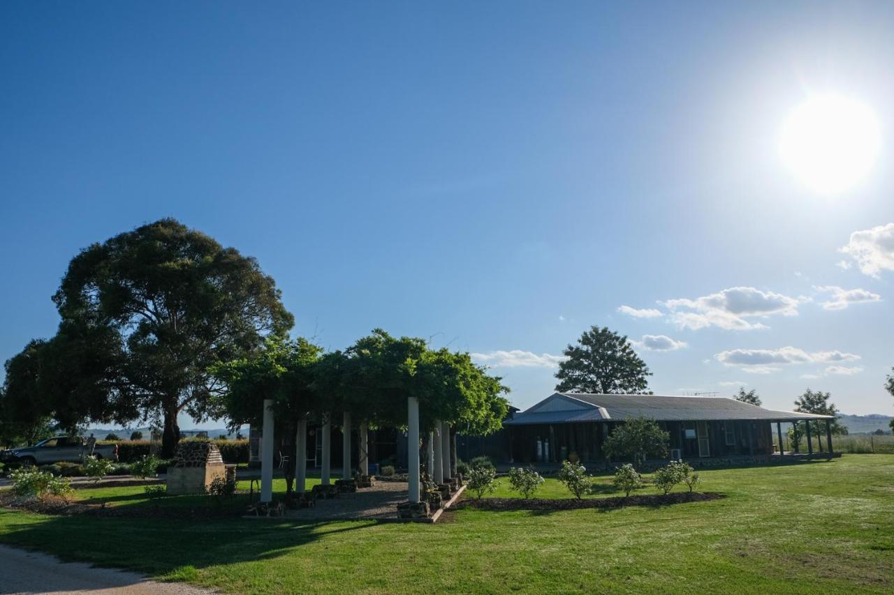 Owl Head Lodge Gulgong Zewnętrze zdjęcie