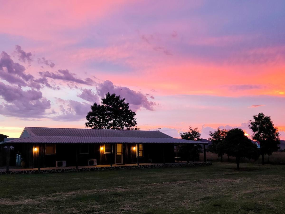 Owl Head Lodge Gulgong Zewnętrze zdjęcie