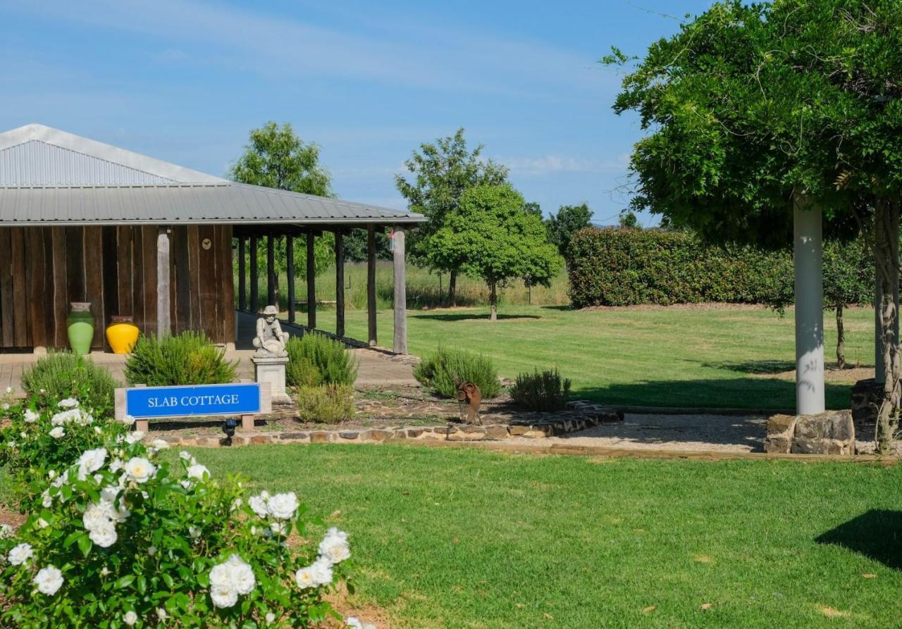 Owl Head Lodge Gulgong Zewnętrze zdjęcie