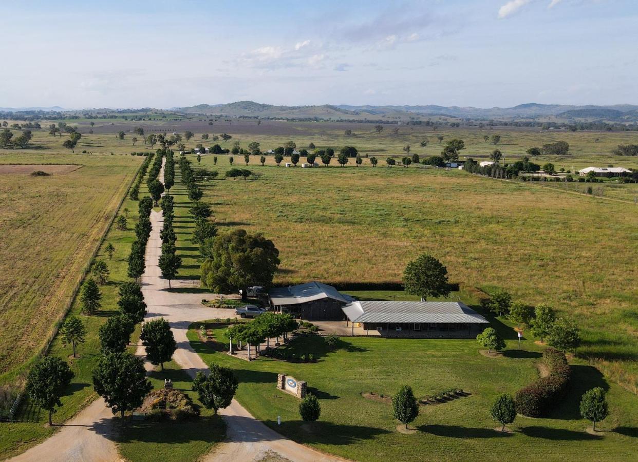 Owl Head Lodge Gulgong Zewnętrze zdjęcie