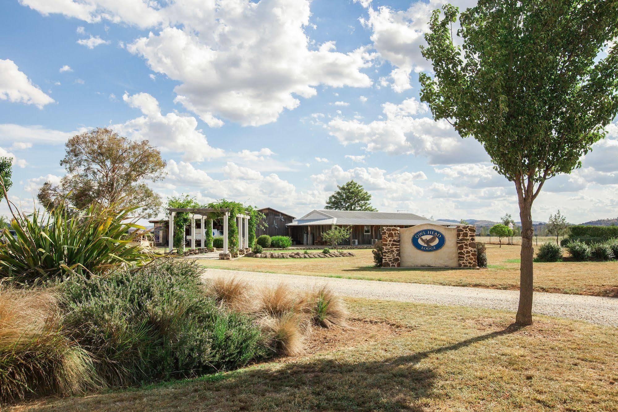 Owl Head Lodge Gulgong Zewnętrze zdjęcie