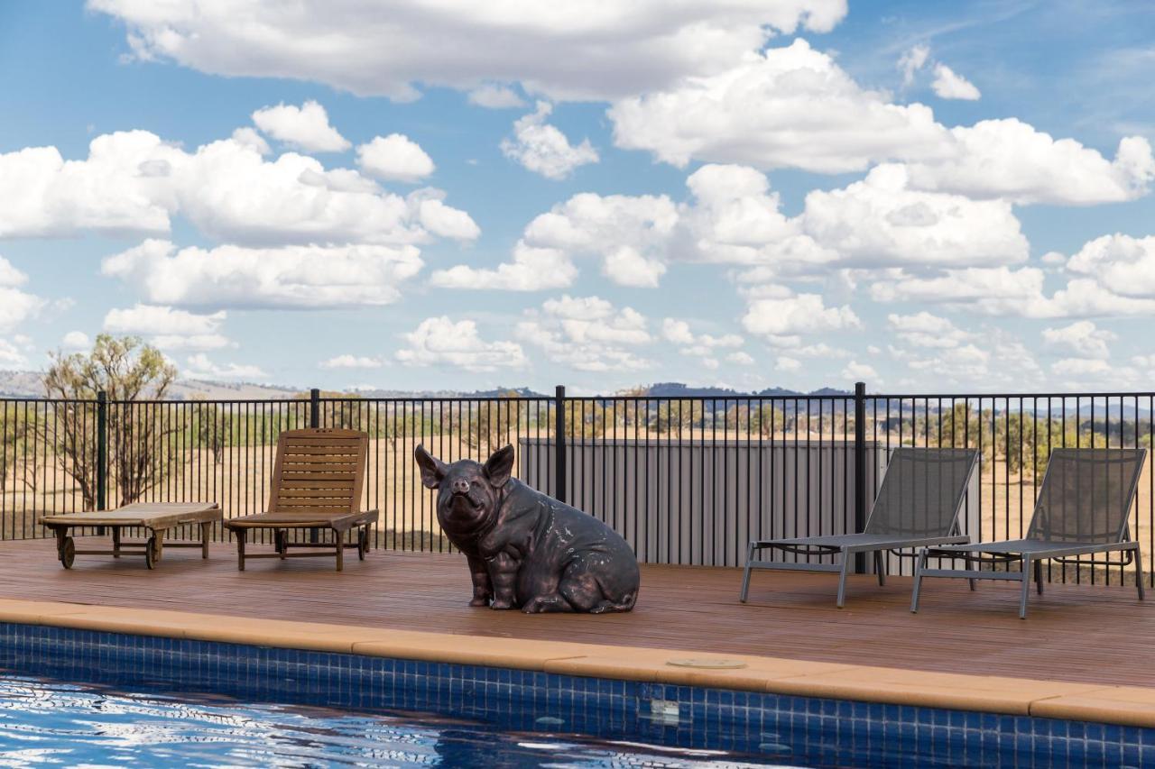 Owl Head Lodge Gulgong Zewnętrze zdjęcie